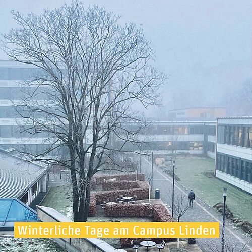 ❄️ Ein Winterwunderland ist es noch nicht am Campus, aber Frost und Nebel machen sich breit. Es ist eine eher stille...